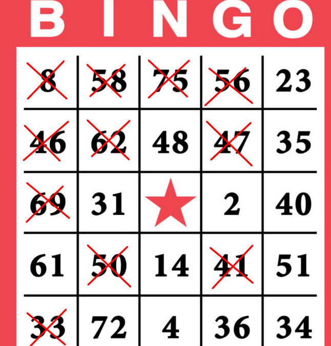 spelweek – verslag Bingo